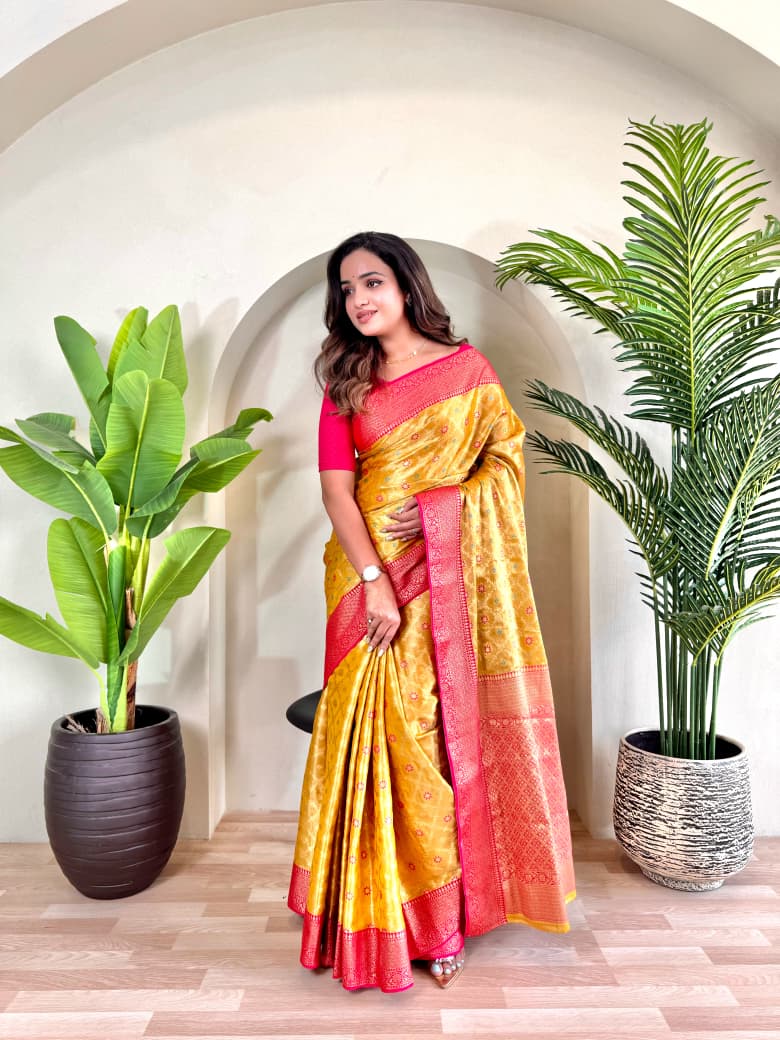 PURE TISSUE SILK SAREE