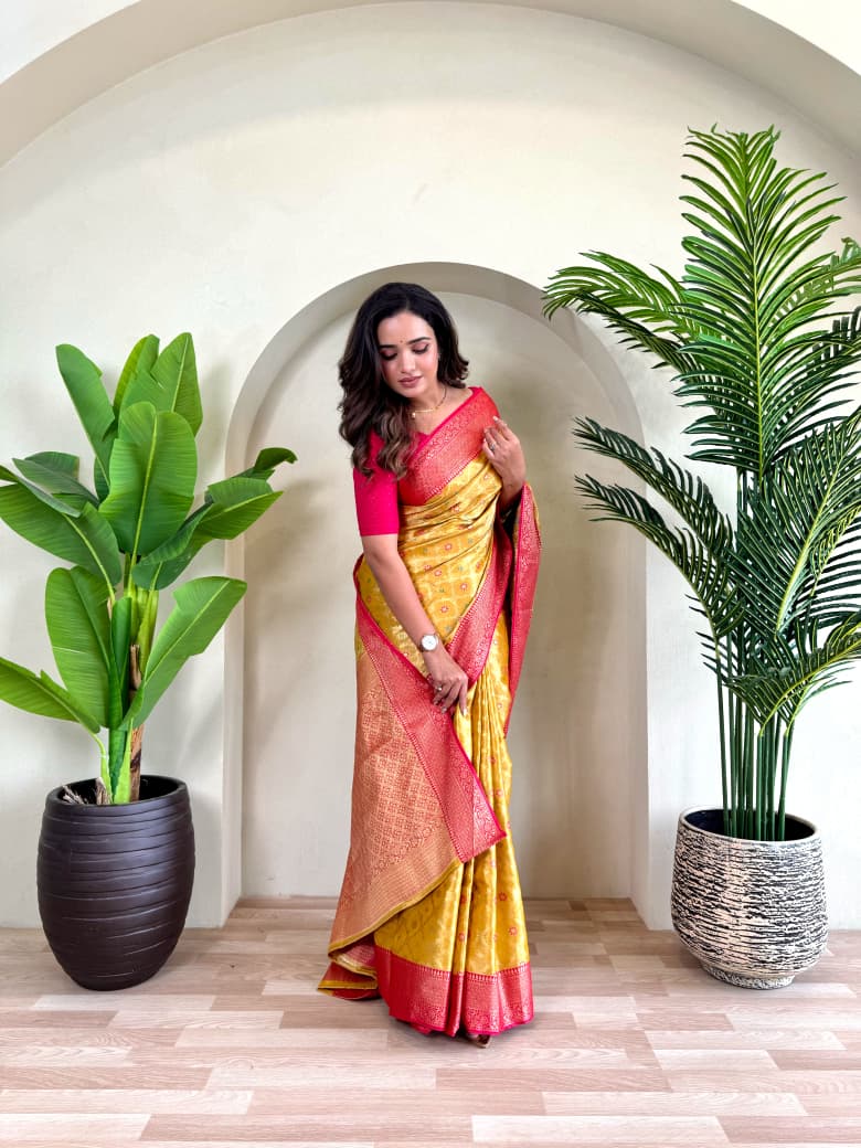 PURE TISSUE SILK SAREE