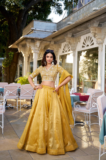 Goldie Plain Lehenga Choli