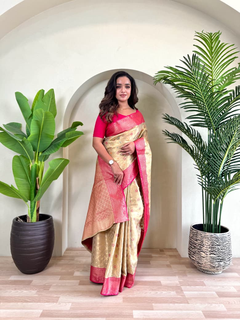 PURE TISSUE SILK SAREE