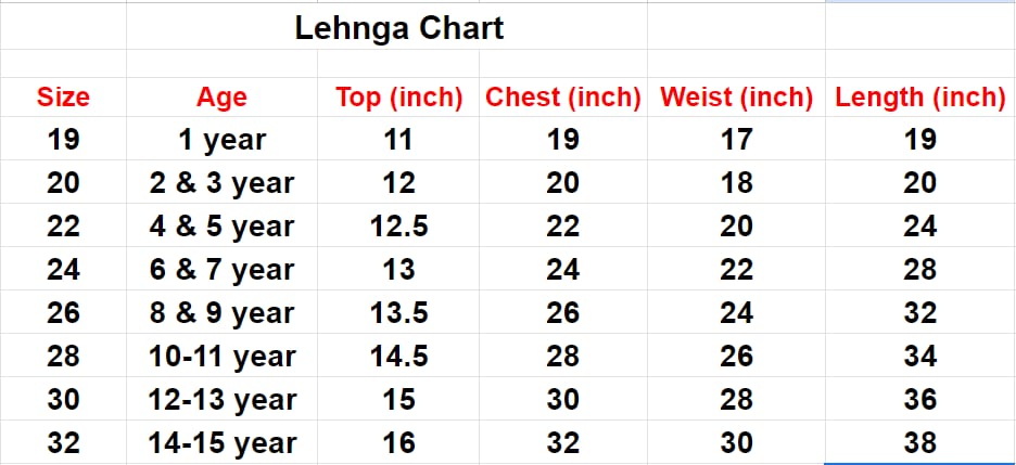 Pure Heavy Chinnon Silk Kids Crop Top - Lehenga