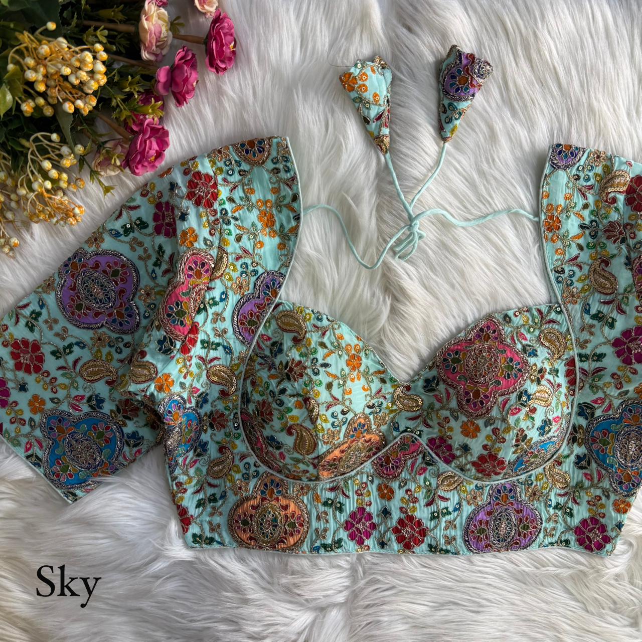 Fancy partywear Blouse