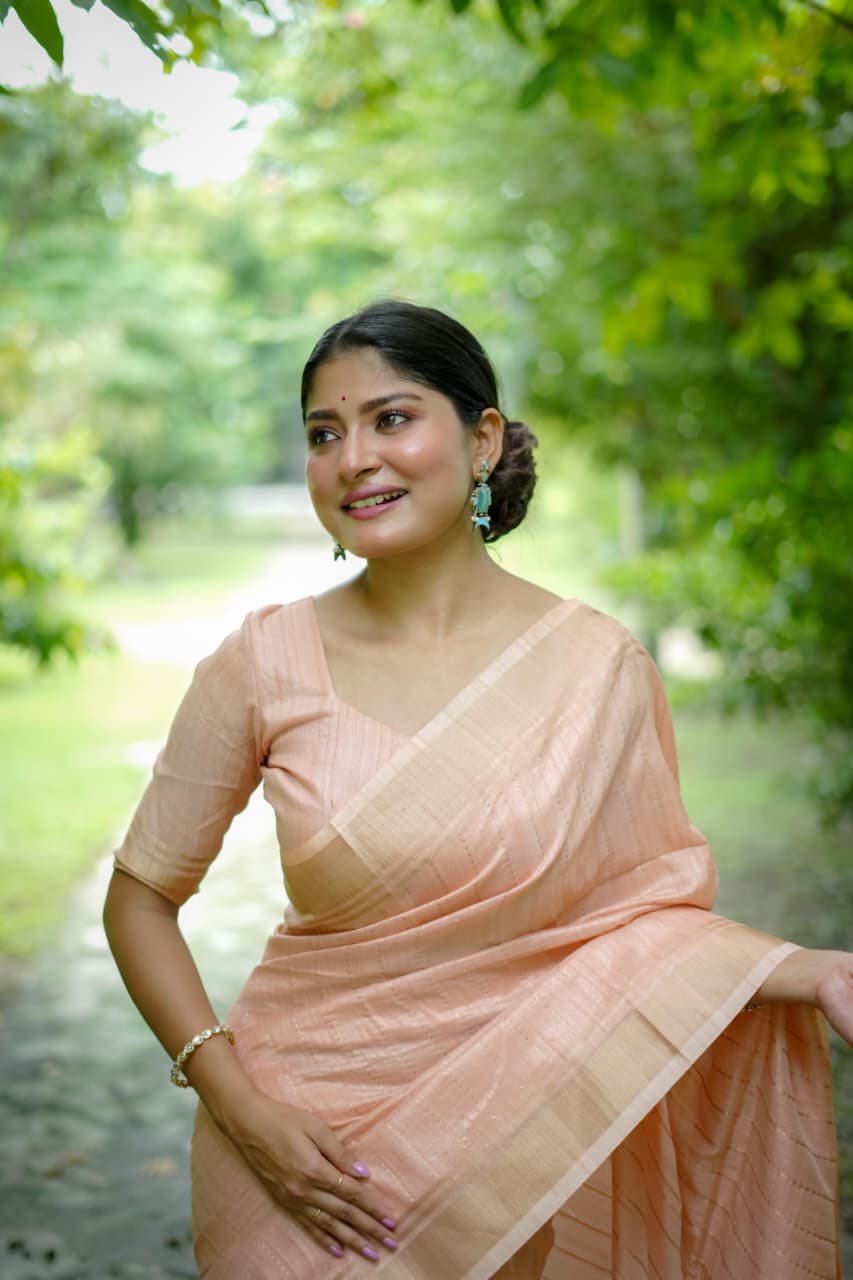 Banarasi Raw Sillk Saree