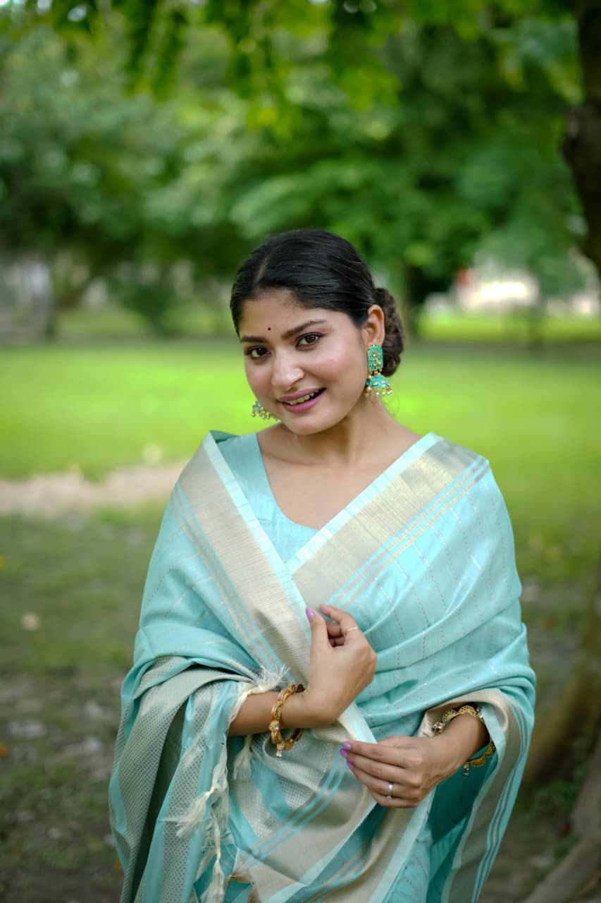Banarasi Raw Sillk Saree