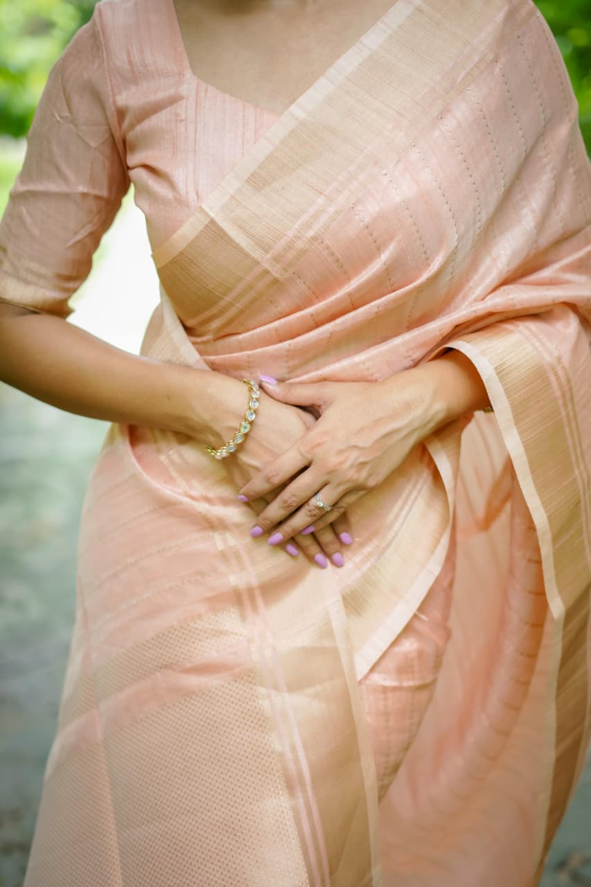 Banarasi Raw Sillk Saree