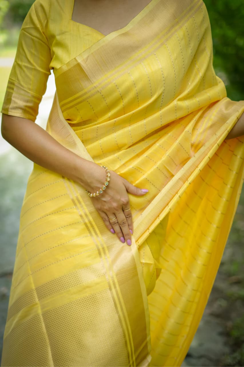 Banarasi Raw Sillk Saree