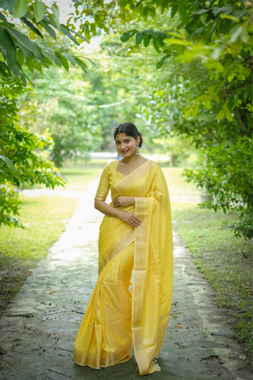 Banarasi Raw Sillk Saree