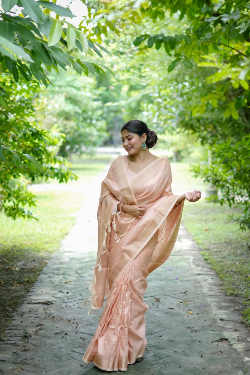 Banarasi Raw Sillk Saree