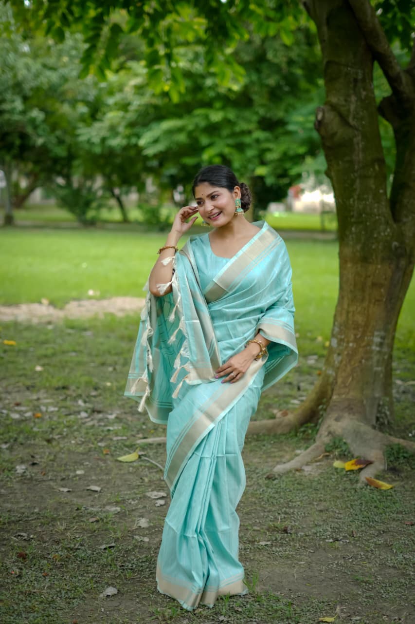 Banarasi Raw Sillk Saree