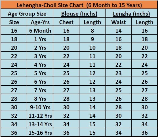 Soft Chinnon Elephant Embroidery Work Lehenga