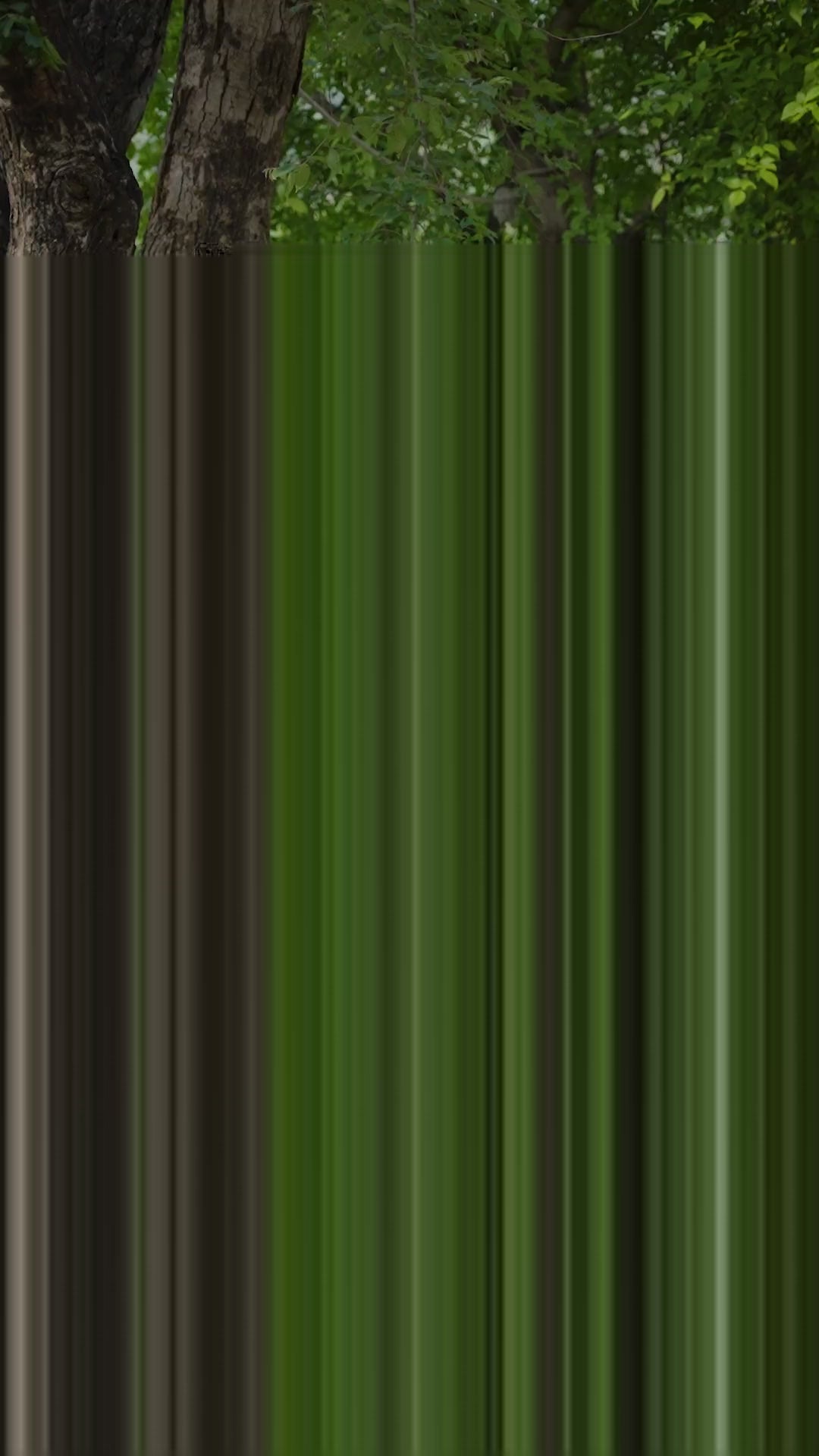 Designer Georgette Gown