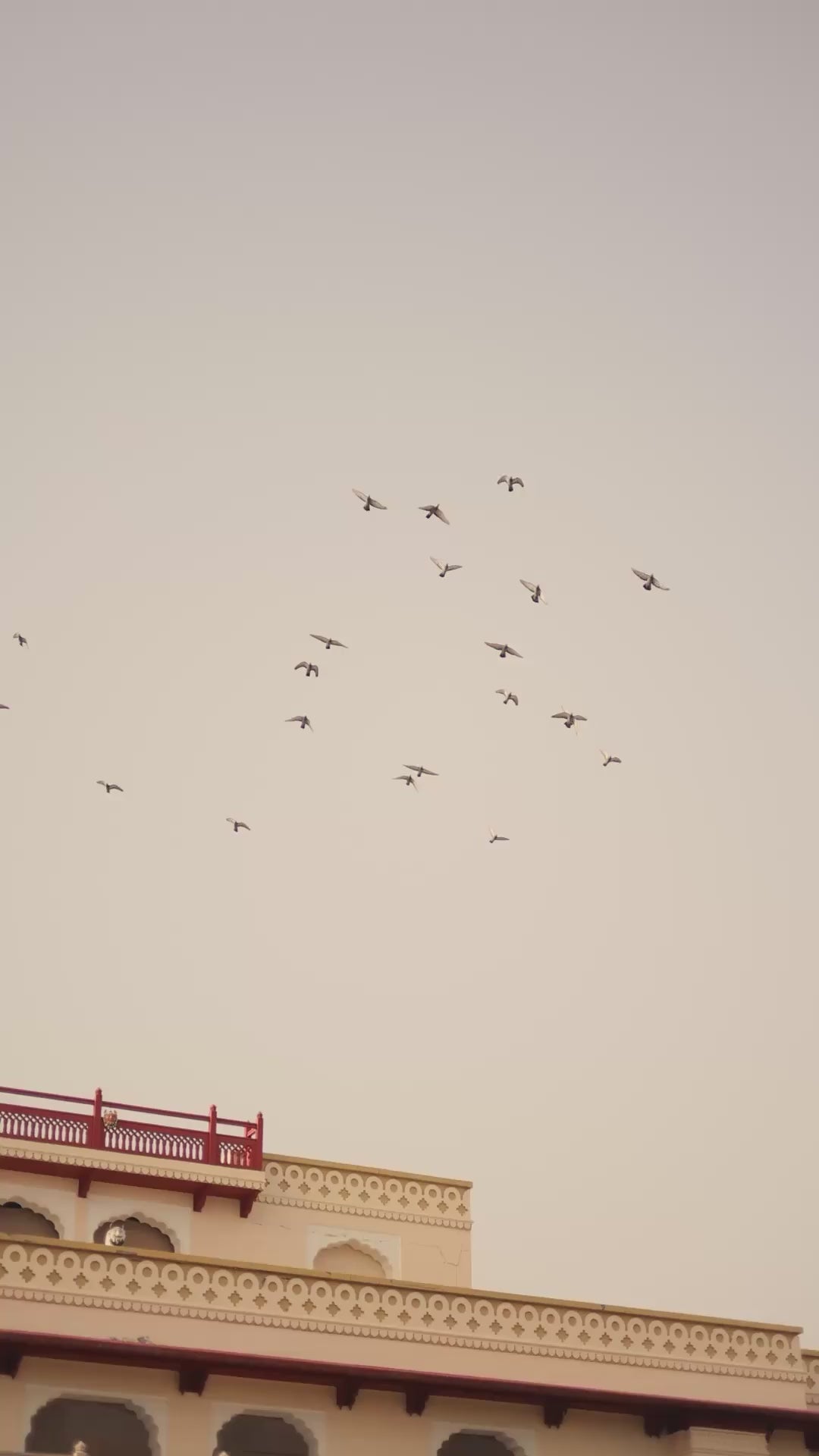 Designer Sequins Lehenga Set