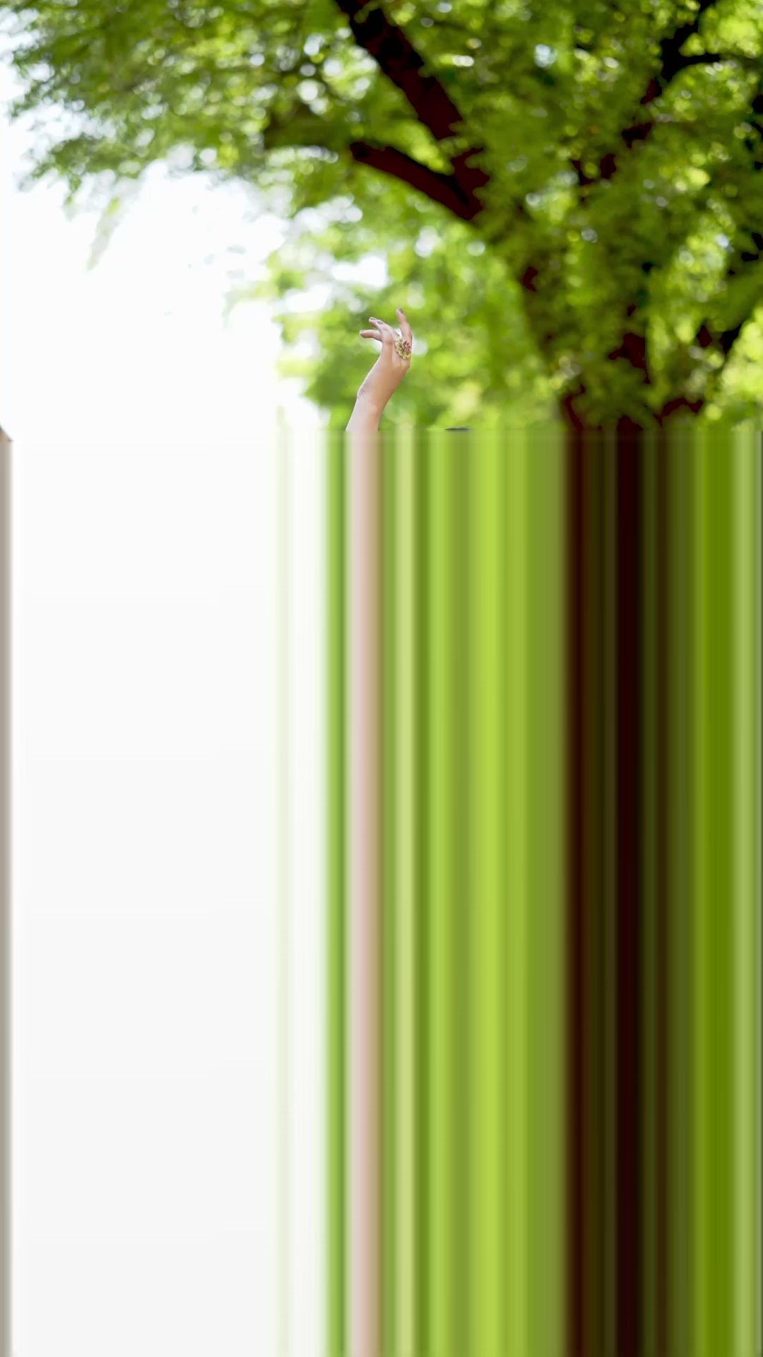 Jacquard Silk Paithani Lehenga Choli