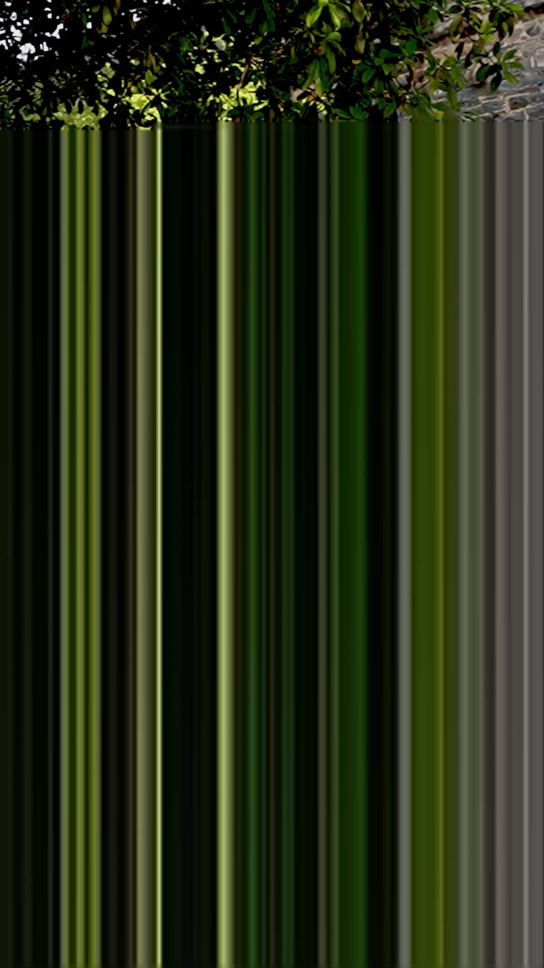 Jacquard Silk Paithani Lehenga Choli